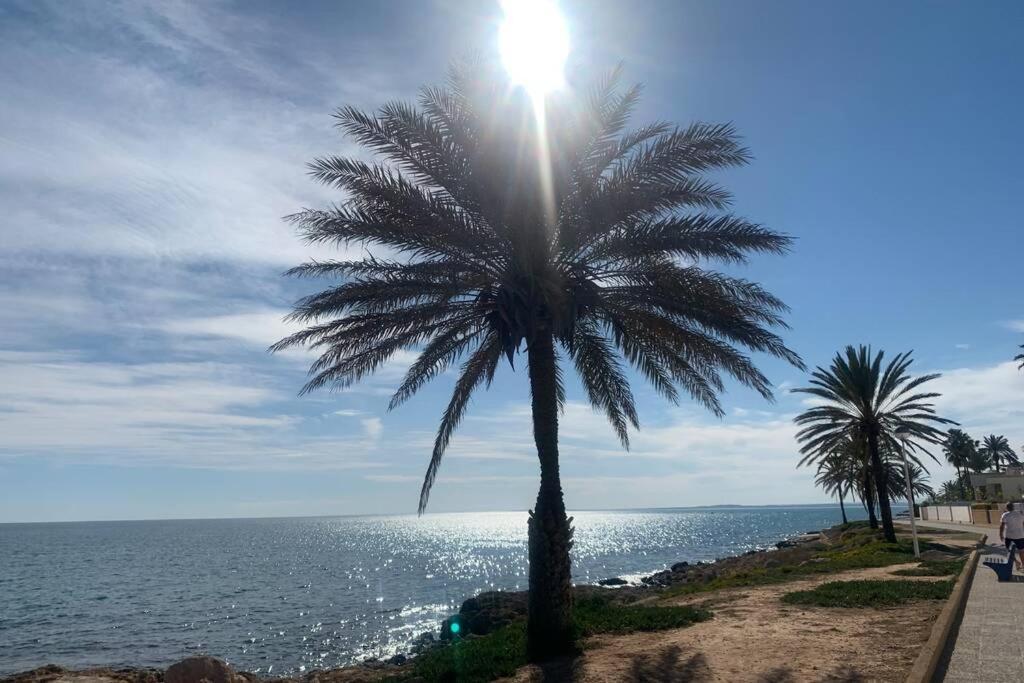 Alicante, Bord De Plage, 3 Chambres Санта Пола Экстерьер фото
